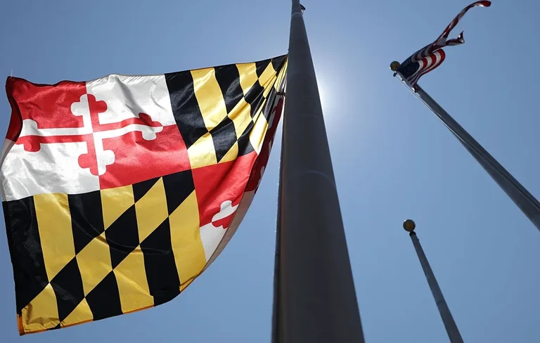 نکات کلیدی در سفارش آنلاین پرچم و تحویل فوری